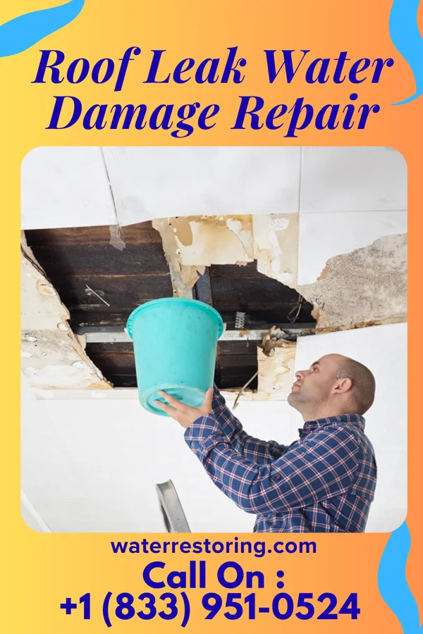 Roof Leak Water Damage Repair in Wyoming, MI